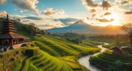 monetizing bali creatively legally