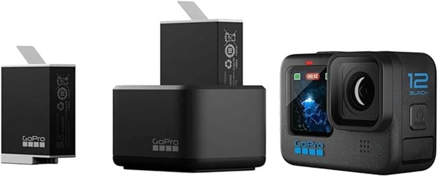 dual battery charger kit