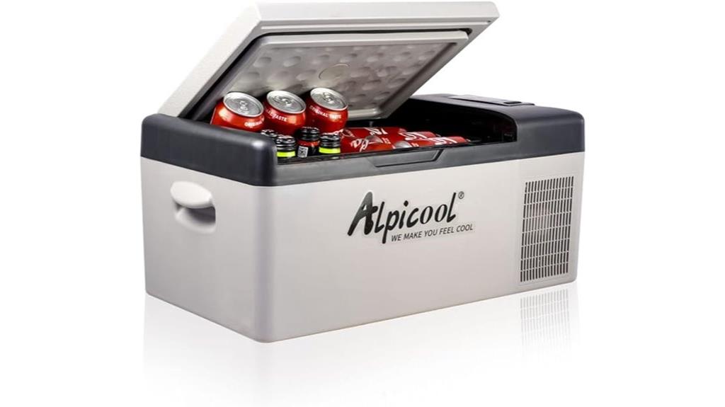 portable car freezer